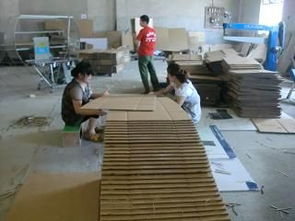 水产养殖 可持续发展与挑战