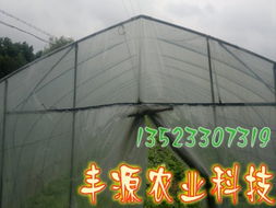 工厂化水产养殖系统 现代水产养殖的高效革命