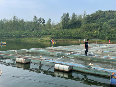 谷城水产养殖 绿色转型中的产业新篇章