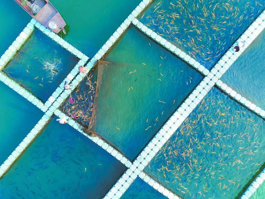 资兴 冷水鱼养殖富民 水产养殖谱新篇