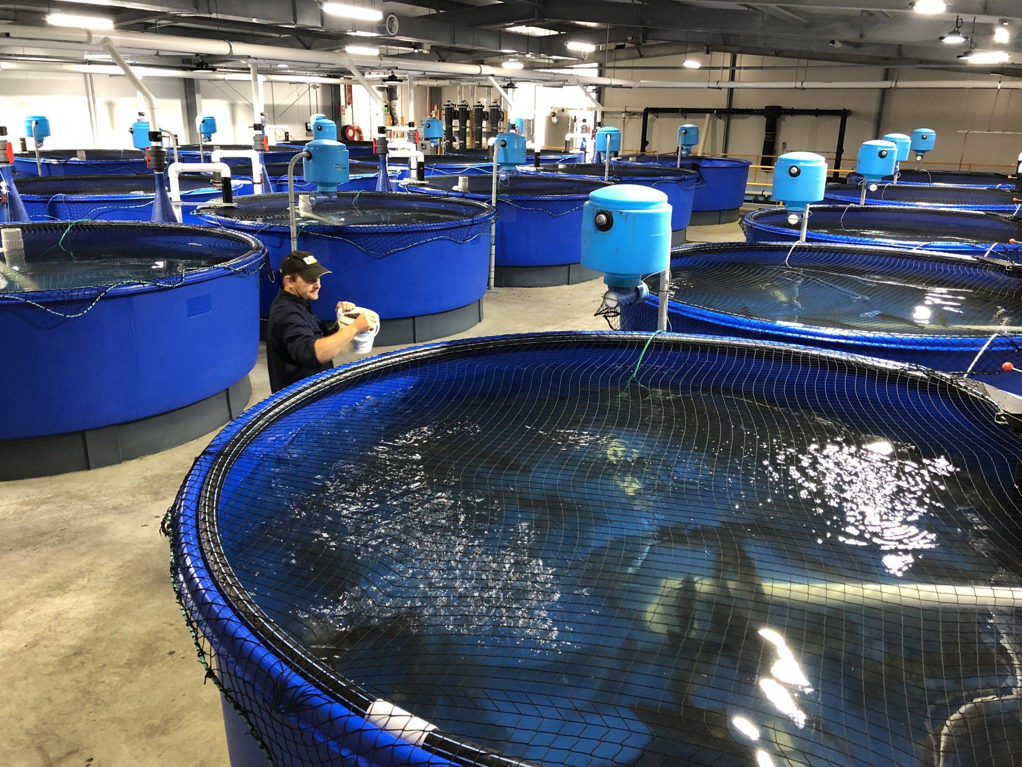 水质、数据与环境 解析水产养殖行业的广阔发展空间