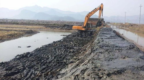 水产养殖病害预防 从池塘到餐桌的全链条防控策略