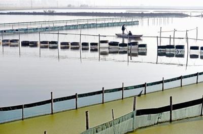 水产品养殖 技术与可持续发展的探索